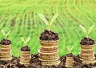 РСХБ увеличил вложения в российский агросектор на 13% РСХБ увеличил вложения в российский агросектор на 13%